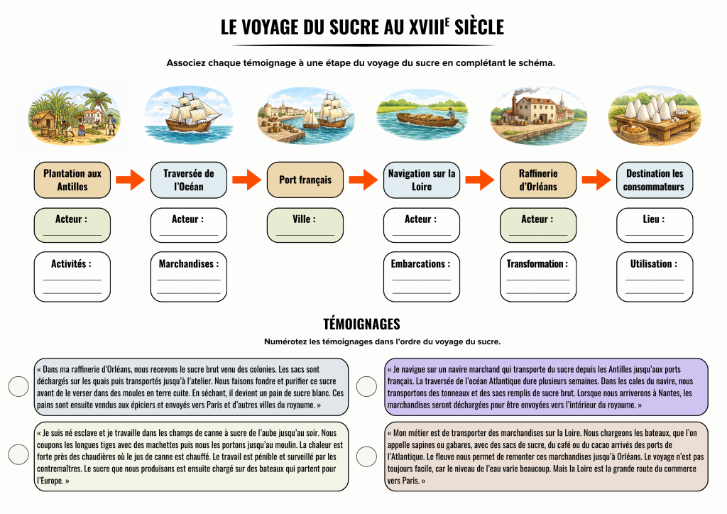 Schéma présentant le voyage du sucre au 18e siècle