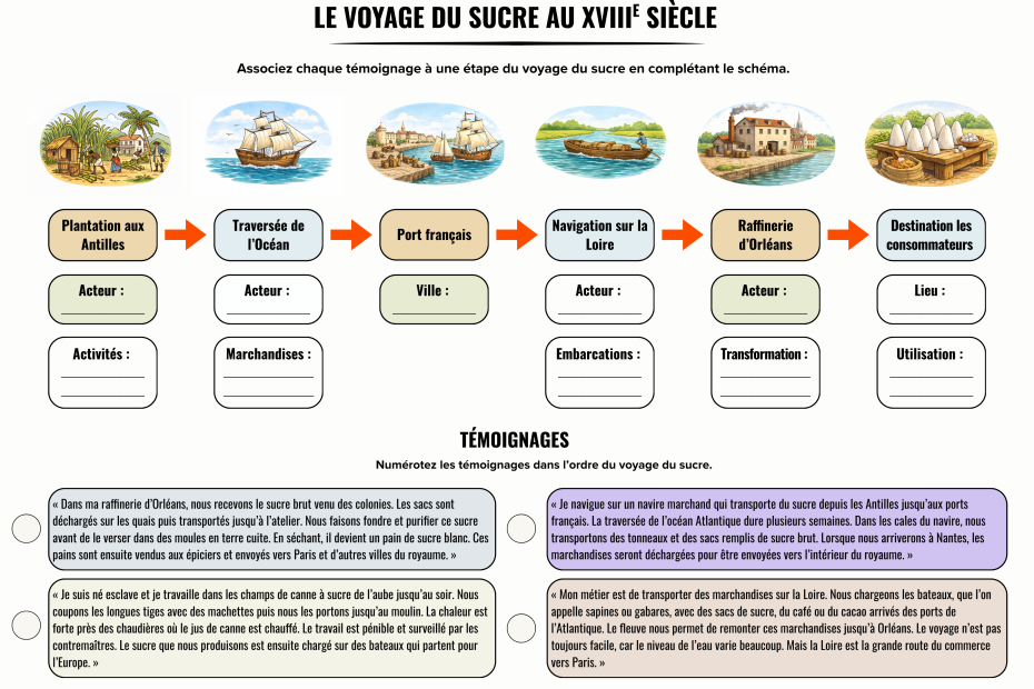 Schéma présentant le voyage du sucre au 18e siècle